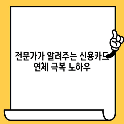 신용카드 연체, 지금 당장 해결해야 한다면? | 연체 해결 방법, 즉각적인 대처, 전문가 조언