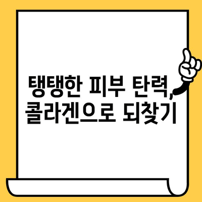 젊은 콜라겐 효능으로 피부 건강 지키는 5가지 방법 | 콜라겐, 피부 탄력, 주름 개선, 젊은 피부, 건강 관리