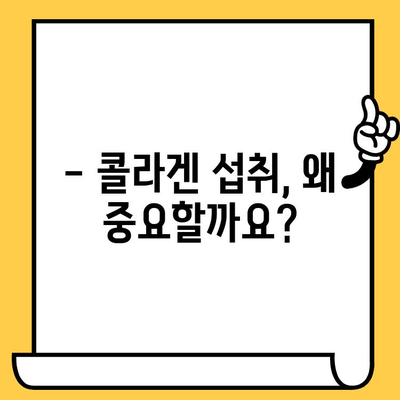 먹는 콜라겐 효능 제대로 알고 똑똑하게 피부 건강 개선하기 | 콜라겐 섭취, 피부 탄력, 주름 개선, 콜라겐 종류, 효과적인 섭취 방법