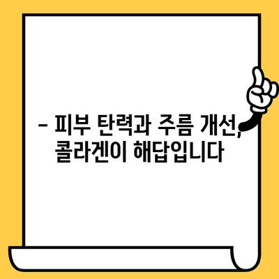 먹는 콜라겐 효능 제대로 알고 똑똑하게 피부 건강 개선하기 | 콜라겐 섭취, 피부 탄력, 주름 개선, 콜라겐 종류, 효과적인 섭취 방법