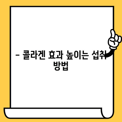 먹는 콜라겐 효능 제대로 알고 똑똑하게 피부 건강 개선하기 | 콜라겐 섭취, 피부 탄력, 주름 개선, 콜라겐 종류, 효과적인 섭취 방법