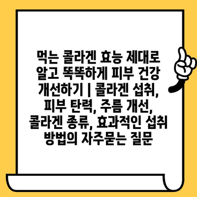 먹는 콜라겐 효능 제대로 알고 똑똑하게 피부 건강 개선하기 | 콜라겐 섭취, 피부 탄력, 주름 개선, 콜라겐 종류, 효과적인 섭취 방법