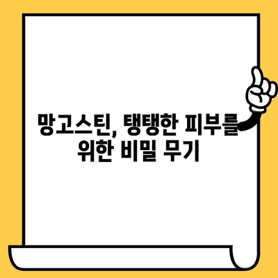 망고스틴 효능| 피부 건강과 함유 성분 | 망고스틴, 피부 미용, 항산화, 건강 식품