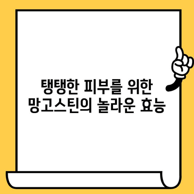 망고스틴의 놀라운 효능! 피부 건강을 위한 망고스틴의 비밀 | 망고스틴, 피부, 건강, 효능, 성분, 팁