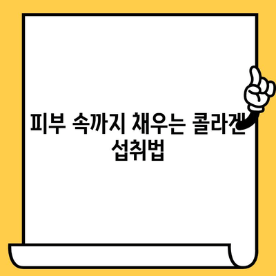 저분자 콜라겐 섭취 후기| 피부 건강 노하우 | 솔직한 변화, 효과적인 섭취법, 추천 제품