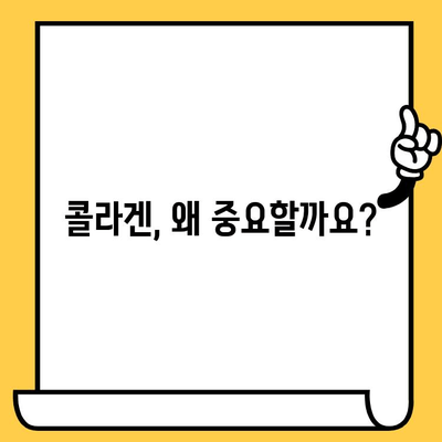 콜라겐 추천| 탱탱한 피부 유지, 이제는 콜라겐으로! | 피부 건강, 콜라겐 효능, 콜라겐 추천, 콜라겐 섭취