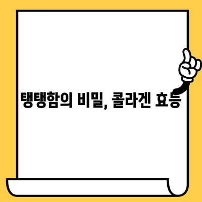 콜라겐 추천| 탱탱한 피부 유지, 이제는 콜라겐으로! | 피부 건강, 콜라겐 효능, 콜라겐 추천, 콜라겐 섭취