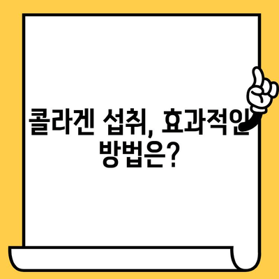 효능적인 콜라겐| 피부 건강을 지키는 완벽 가이드 | 콜라겐 종류, 효능, 섭취 방법, 추천 제품