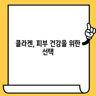 효능적인 콜라겐| 피부 건강을 지키는 완벽 가이드 | 콜라겐 종류, 효능, 섭취 방법, 추천 제품