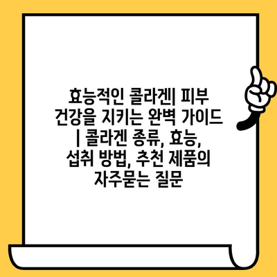 효능적인 콜라겐| 피부 건강을 지키는 완벽 가이드 | 콜라겐 종류, 효능, 섭취 방법, 추천 제품