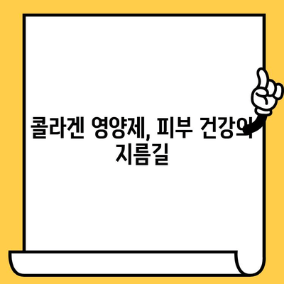 콜라겐 영양제 추천| 피부 건강 유지의 필수품 | 탄력, 주름, 보습, 콜라겐 효능, 추천 브랜드