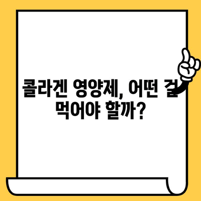 콜라겐 영양제 추천| 피부 건강 유지의 필수품 | 탄력, 주름, 보습, 콜라겐 효능, 추천 브랜드