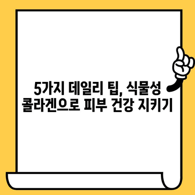 식물성 콜라겐 추천| 데일리 도스로 피부 건강 지키는 5가지 팁 | 식물성 콜라겐, 피부 건강, 콜라겐 추천