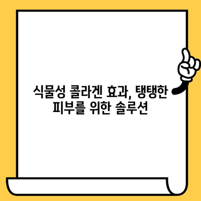 식물성 콜라겐 추천| 데일리 도스로 피부 건강 지키는 5가지 팁 | 식물성 콜라겐, 피부 건강, 콜라겐 추천