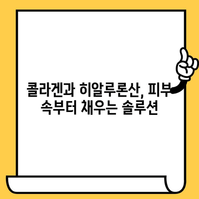 피부 건강 영양제로 매끈한 결 관리하기 | 피부 결 개선, 콜라겐, 히알루론산, 영양제 추천