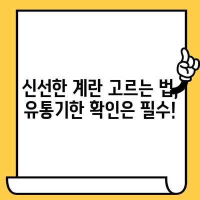 삶은 계란 완벽 가이드| 효능, 칼로리, 유통기한, 달걀 구별법 | 계란 영양, 계란 보관, 계란 요리 팁