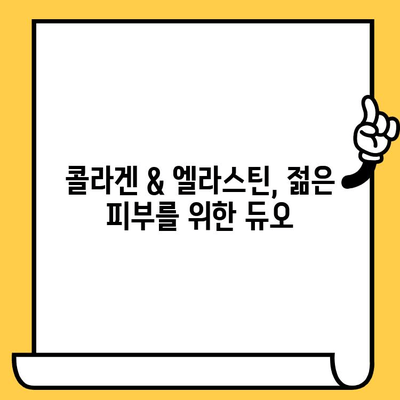 아임뉴트리 엘라스틴 콜라겐으로 피부 미모 되찾기| 효과적인 섭취 방법과 관리 팁 | 콜라겐, 엘라스틴, 피부 건강, 미용, 아임뉴트리