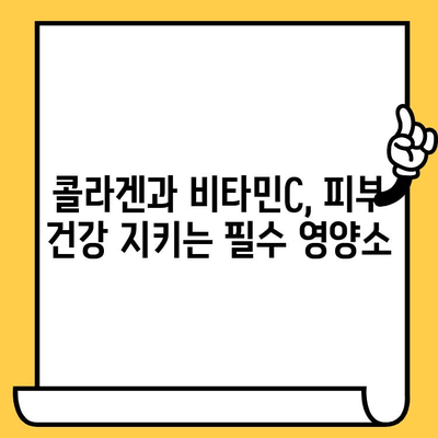 피부 건강을 위한 기능성 식품 추천| 항산화 효과 높이는 5가지 | 피부 미용, 건강 식품, 콜라겐, 비타민C,  항산화