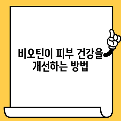 비오틴 영양제, 탈모와 피부 건강 개선에 효과적인가요? | 탈모, 피부, 건강, 영양제, 비오틴