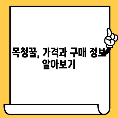 목청꿀의 모든 것| 효능, 가격, 부작용, 유통기한 | 건강, 꿀, 목청, 효능, 부작용, 가격 정보