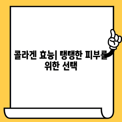 콜라겐 영양제| 피부 건강 지키는 비법 | 콜라겐 효능, 섭취 방법, 추천 제품