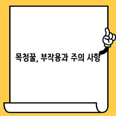 목청꿀의 모든 것| 효능, 가격, 부작용, 유통기한 | 건강, 꿀, 목청, 효능, 부작용, 가격 정보