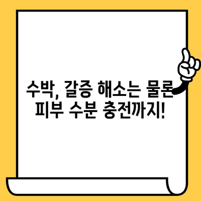 수박 효능| 피부 건강에 좋은 5가지 놀라운 이점 | 수분, 항산화, 콜라겐, 여름 과일, 피부 미용