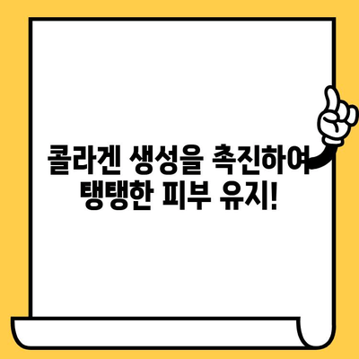 수박 효능| 피부 건강에 좋은 5가지 놀라운 이점 | 수분, 항산화, 콜라겐, 여름 과일, 피부 미용