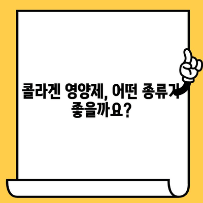 콜라겐 영양제 추천| 피부 건강 관리를 위한 선택 가이드 | 피부 탄력, 주름 개선, 영양제 비교