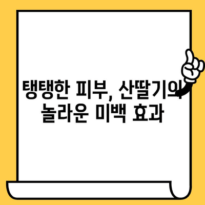 산딸기의 놀라운 효능| 영양 가득, 피부 건강까지 책임지는 붉은 보석 | 뷰티, 건강, 항산화, 비타민C, 피부 미백