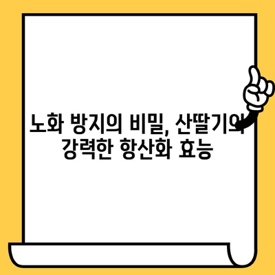 산딸기의 놀라운 효능| 영양 가득, 피부 건강까지 책임지는 붉은 보석 | 뷰티, 건강, 항산화, 비타민C, 피부 미백