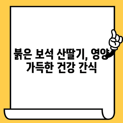 산딸기의 놀라운 효능| 영양 가득, 피부 건강까지 책임지는 붉은 보석 | 뷰티, 건강, 항산화, 비타민C, 피부 미백