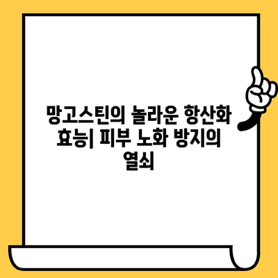 망고스틴의 피부 건강 효과| 핵심 성분 분석과 활용법 | 망고스틴, 피부 미백, 항산화, 주름 개선