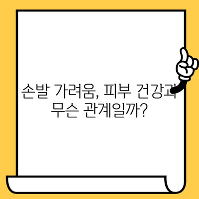 손발 가려움, 피부 건강 영양제로 해결할 수 있을까? | 가려움증 원인, 해결 솔루션, 추천 영양제