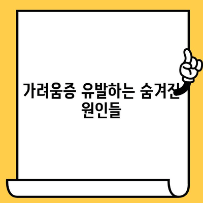 손발 가려움, 피부 건강 영양제로 해결할 수 있을까? | 가려움증 원인, 해결 솔루션, 추천 영양제