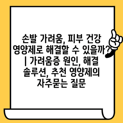 손발 가려움, 피부 건강 영양제로 해결할 수 있을까? | 가려움증 원인, 해결 솔루션, 추천 영양제