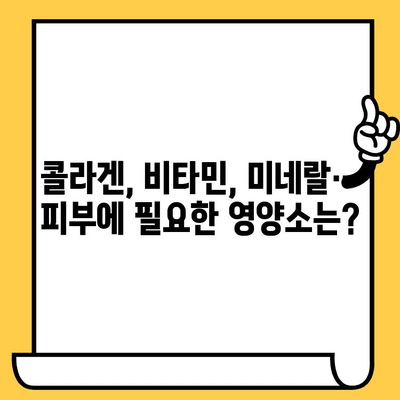 영양제로 피부 건강 지키기| 효과적인 방법 & 추천 제품 | 피부 영양제, 콜라겐, 비타민, 미네랄, 피부 건강 관리