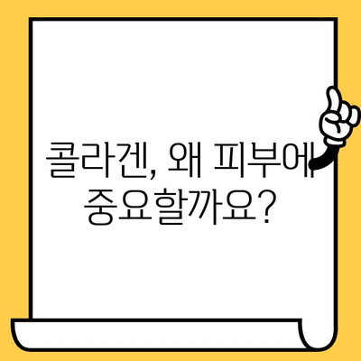 콜라겐 영양제로 탱탱한 피부 되찾기 | 피부 탄력, 주름 개선, 콜라겐 효능, 추천 제품