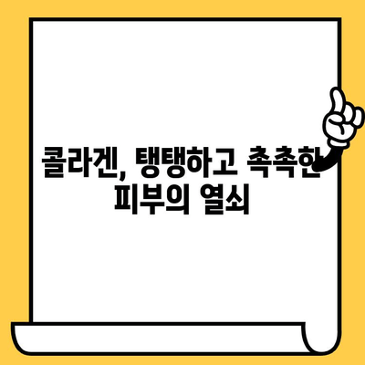 콜라겐 영양제, 피부 건강의 비밀| 탱탱하고 촉촉한 피부를 위한 솔루션 | 콜라겐 효능, 피부 노화, 영양제 추천