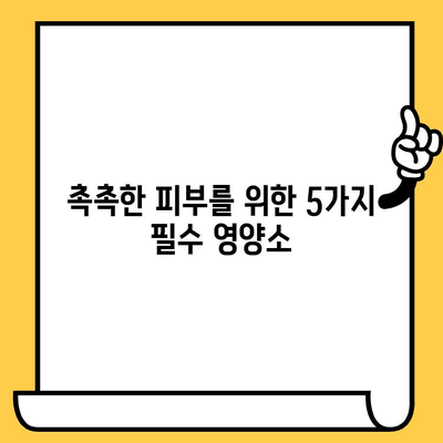 건조한 피부를 위한 비타민 가이드| 촉촉한 피부를 되찾는 5가지 영양소 | 피부 건강, 비타민, 건조함, 겨울철 피부 관리