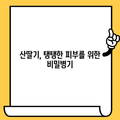 산딸기의 놀라운 효과| 피부 건강을 위한 영양소 파헤치기 | 산딸기, 피부, 미용, 항산화, 비타민C