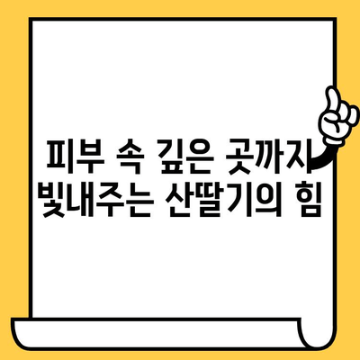 산딸기의 놀라운 효과| 피부 건강을 위한 영양소 파헤치기 | 산딸기, 피부, 미용, 항산화, 비타민C