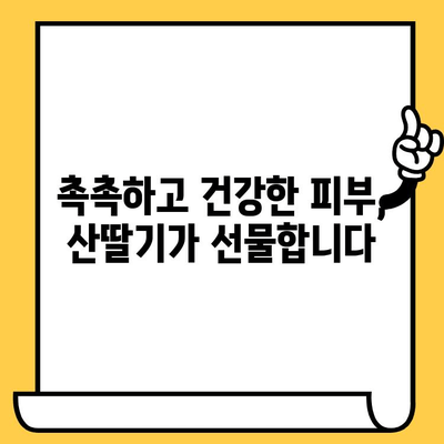 산딸기의 놀라운 효과| 피부 건강을 위한 영양소 파헤치기 | 산딸기, 피부, 미용, 항산화, 비타민C