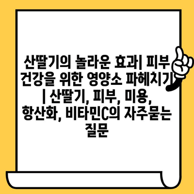 산딸기의 놀라운 효과| 피부 건강을 위한 영양소 파헤치기 | 산딸기, 피부, 미용, 항산화, 비타민C