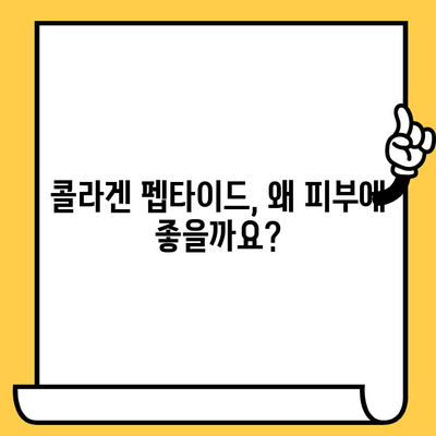 저분자 콜라겐 펩타이드로 피부 건강을 되찾는 5가지 방법 | 콜라겐, 펩타이드, 피부 탄력, 주름 개선, 피부 관리