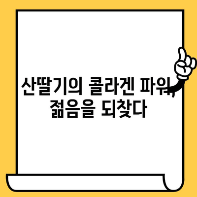 산딸기의 놀라운 효능| 피부 건강 개선을 위한 5가지 방법 | 산딸기, 피부 미용, 콜라겐, 비타민 C, 항산화