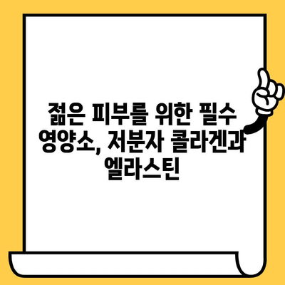 저분자 콜라겐과 엘라스틴| 피부 건강과 아름다움, 동시에 잡는 비결 | 피부 탄력, 주름 개선, 콜라겐 효능, 엘라스틴 효과