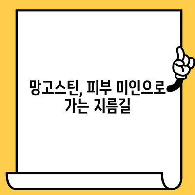 망고스틴의 놀라운 효능| 피부 건강 관리를 위한 5가지 이유 | 망고스틴, 피부, 건강, 효능, 미용