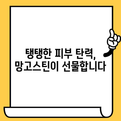 망고스틴의 놀라운 효능| 피부 건강 관리를 위한 5가지 이유 | 망고스틴, 피부, 건강, 효능, 미용