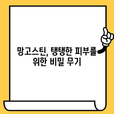 망고스틴의 피부 미용 효능과 영양 성분| 탱탱하고 건강한 피부를 위한 특별한 열매 | 망고스틴, 피부 건강, 항산화, 비타민 C, 피부 미용 효과